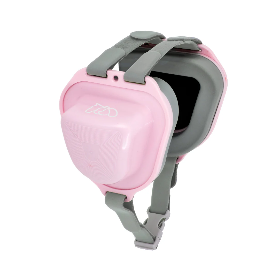 ���p�Չ��� �ʔ�