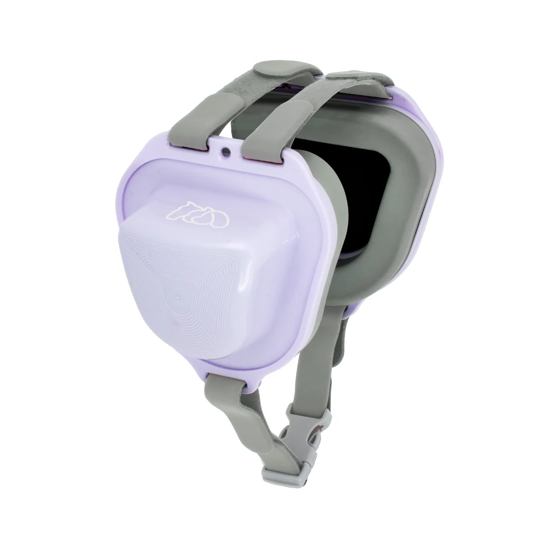 ���p�Չ��� �ʔ�