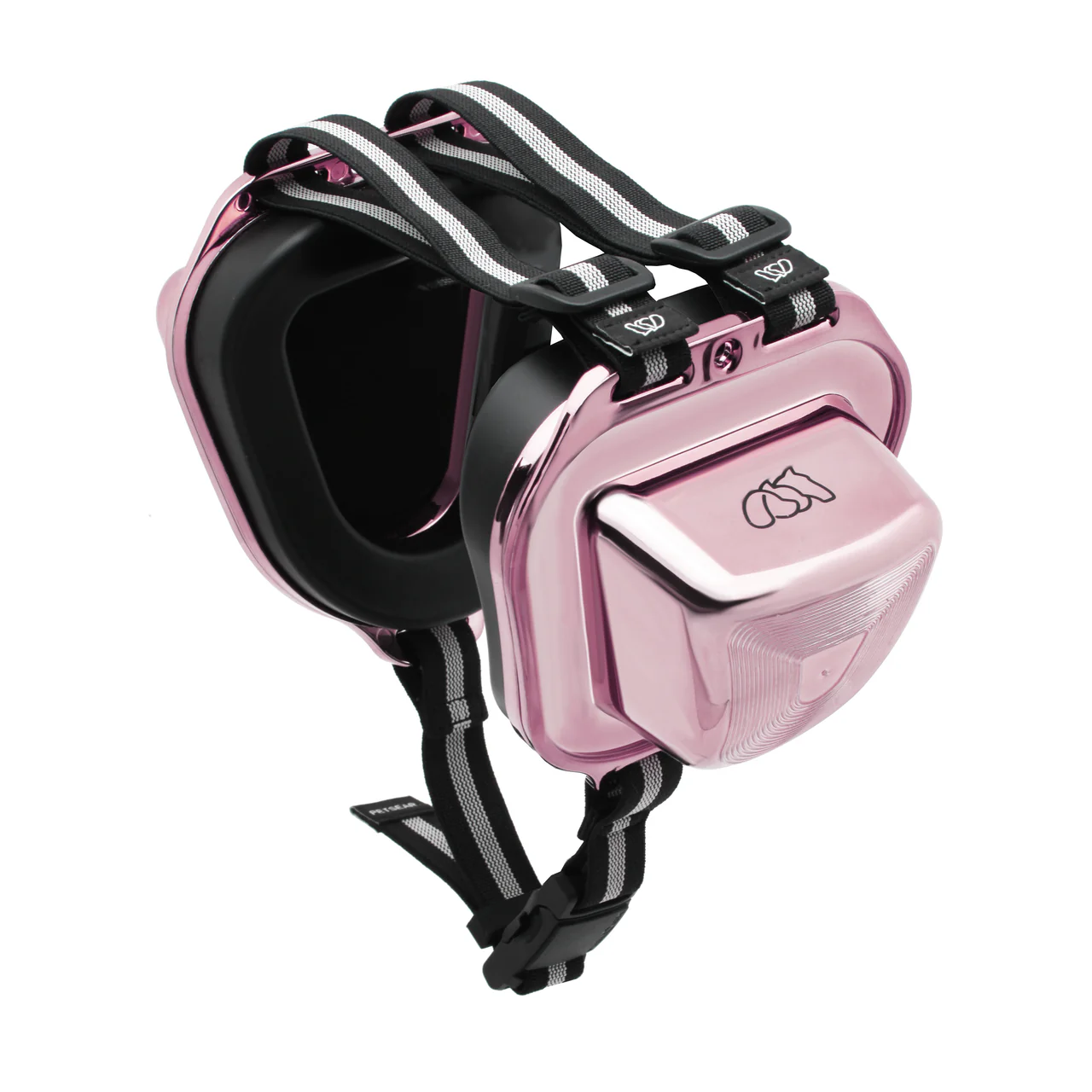 ���p�Չ��� �ʔ�