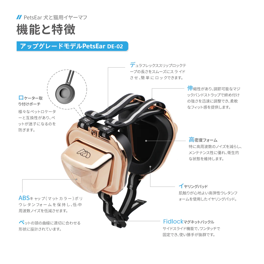 ���p�Չ��� �ʔ�